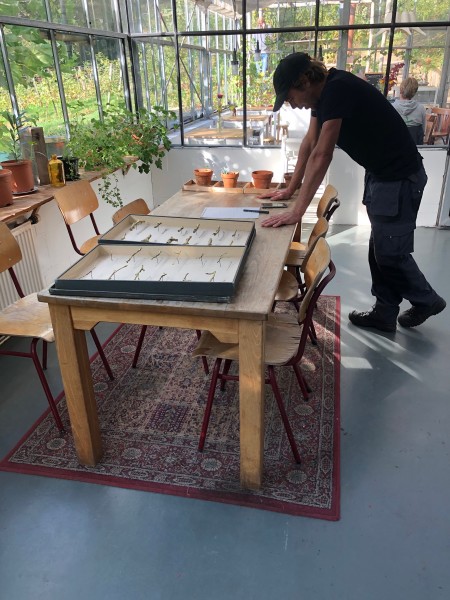 Tak uitzoeken die je naam gaat krijgen.