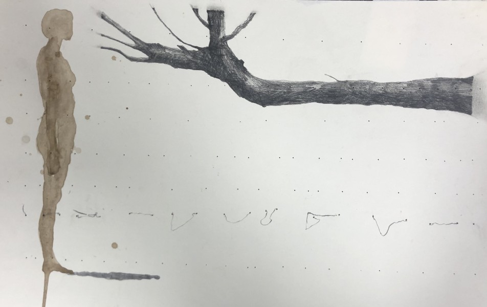 Walnoten inkt. Grafiet. Potlood. op papier. 30 cm x 40 cm.