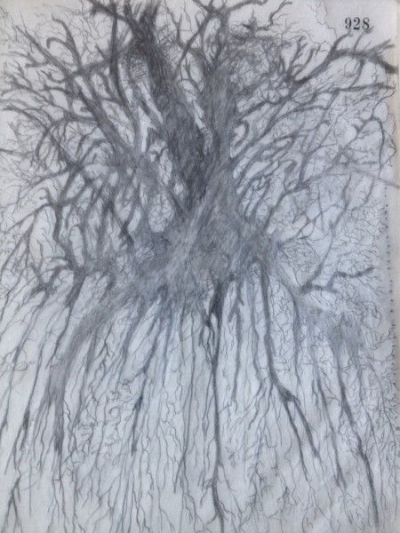 Timeline drawing out of the book.