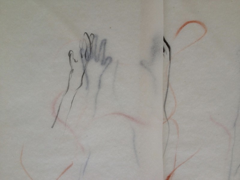 Timeline drawing- 2 days - Camiela